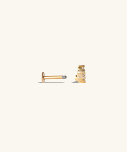 Luxe Sparkle Stud Earring
