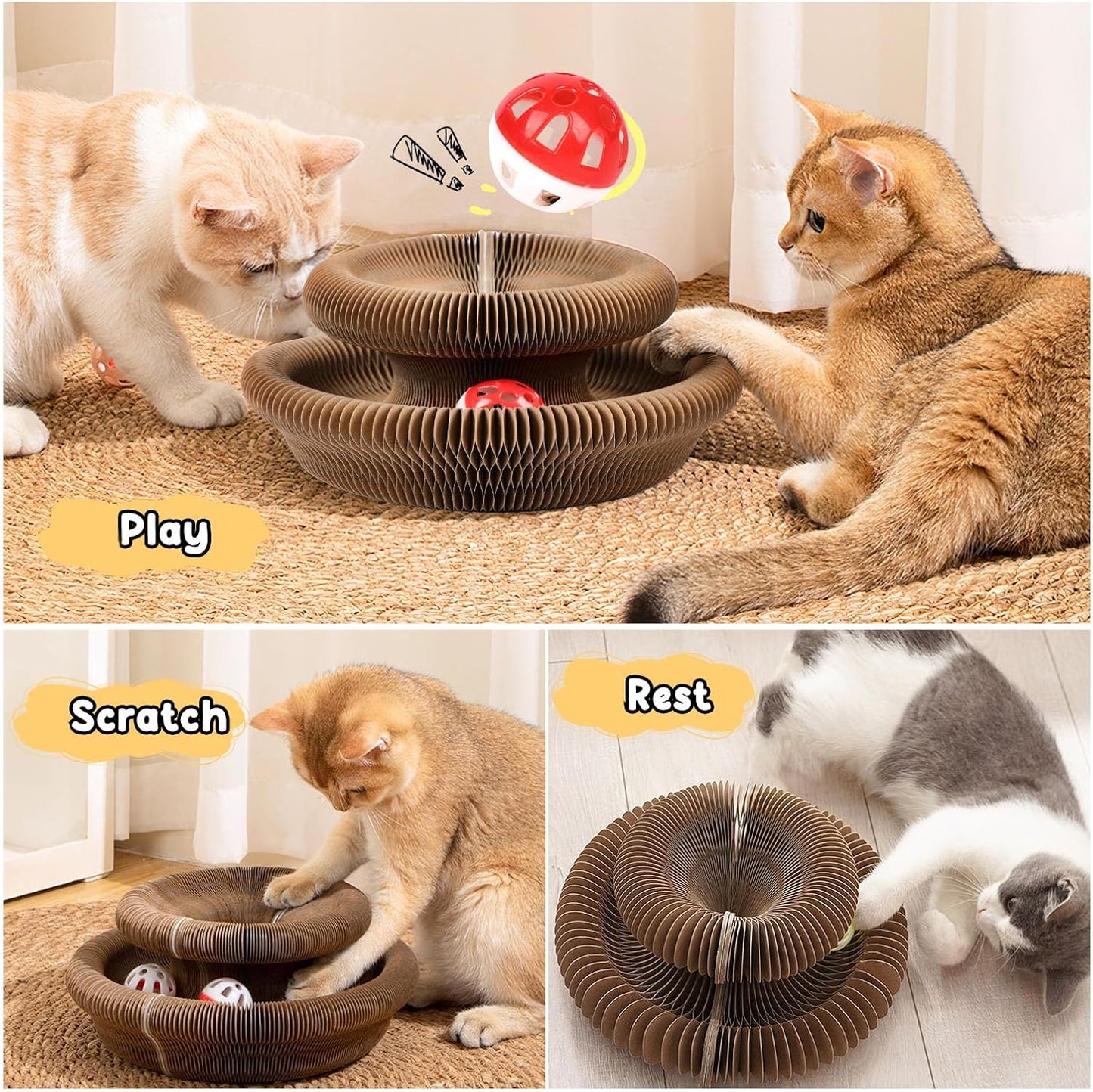 Scratch Solution Kitty Board