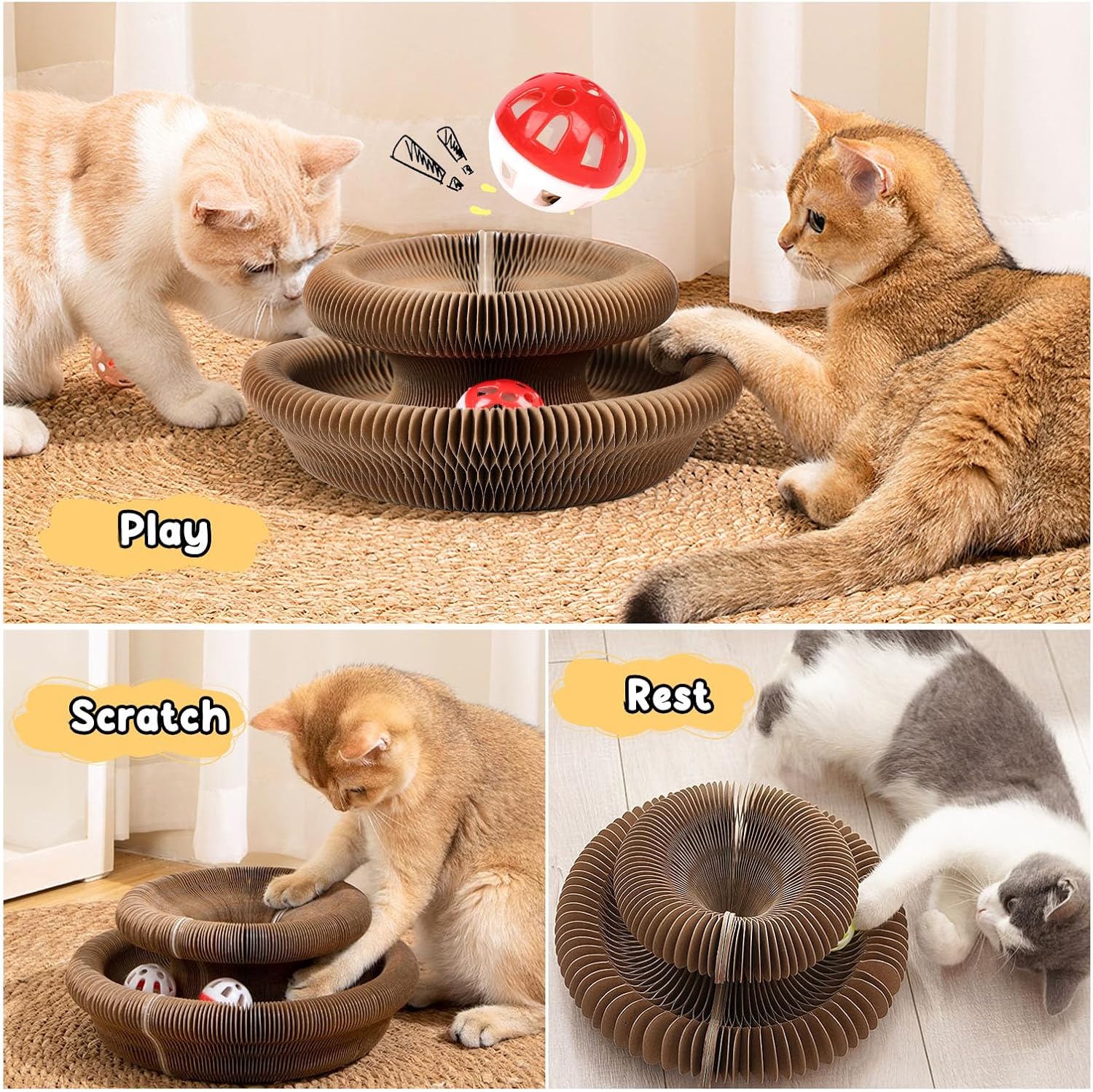Scratch Solution Kitty Board