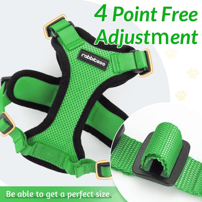 Rabbitgoo Adjustable Cat Harness and Leash Set