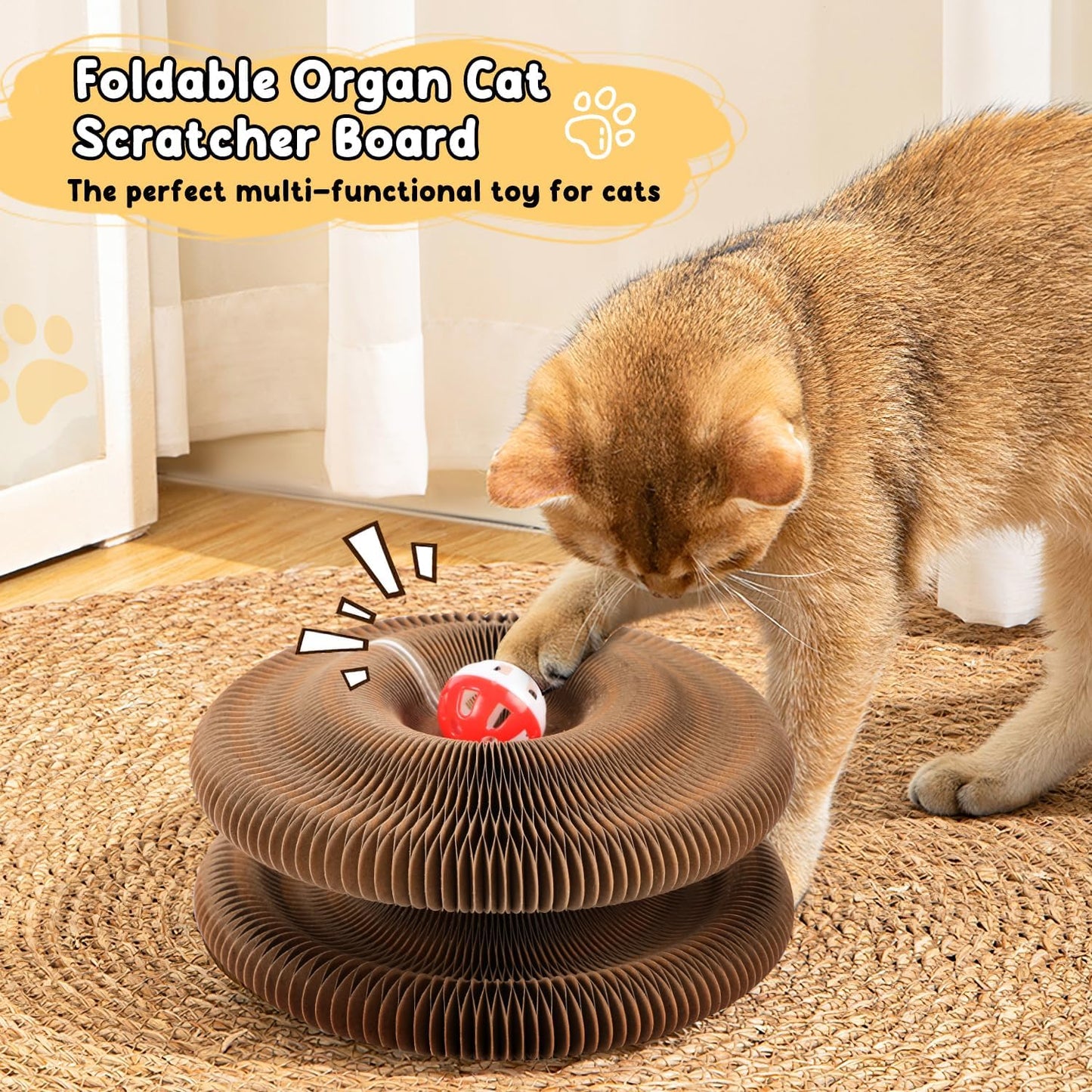 Scratch Solution Kitty Board