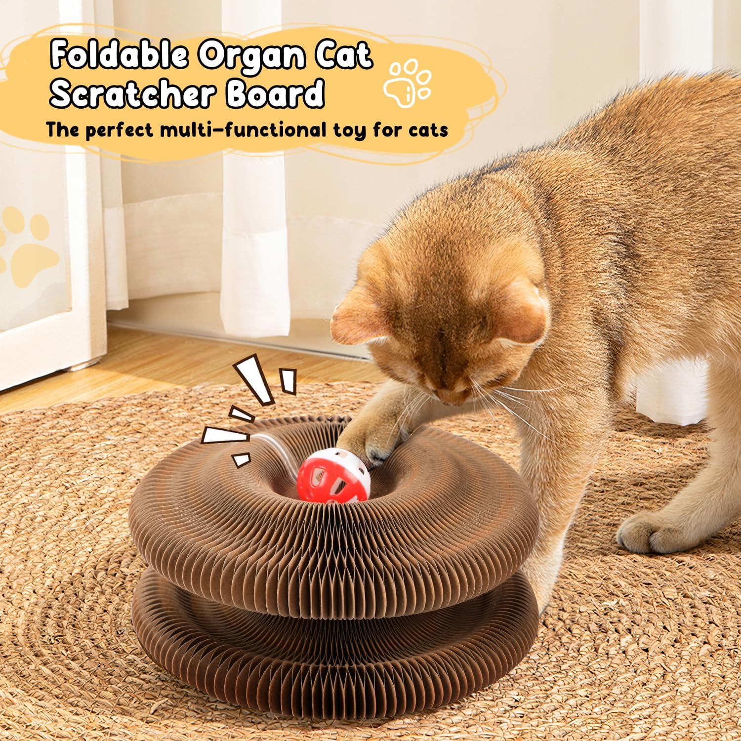 Scratch Solution Kitty Board