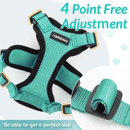 Rabbitgoo Adjustable Cat Harness and Leash Set