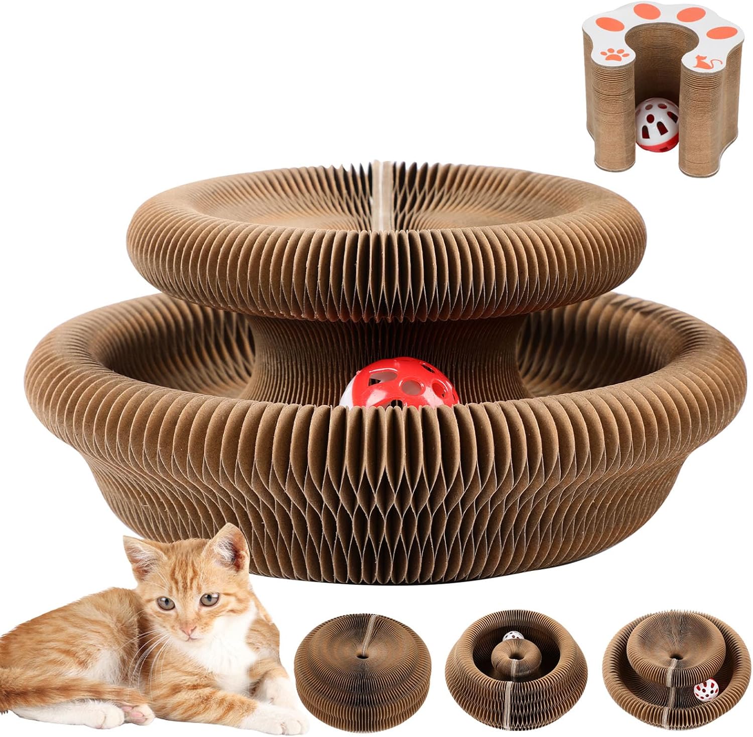 Scratch Solution Kitty Board