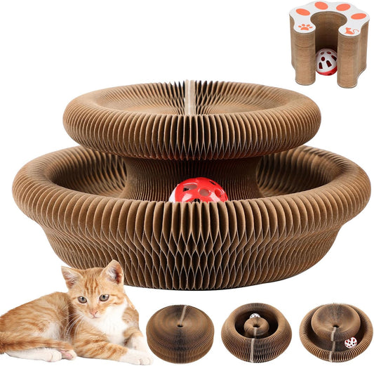 Scratch Solution Kitty Board