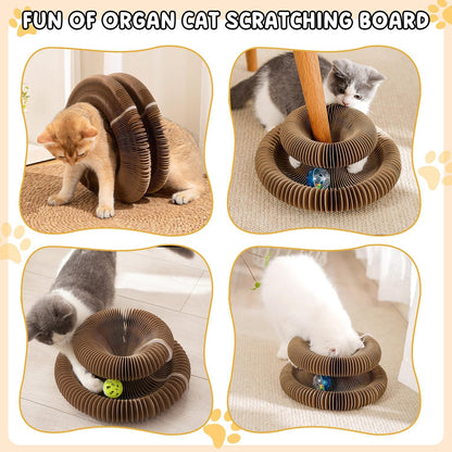 Scratch Solution Kitty Board
