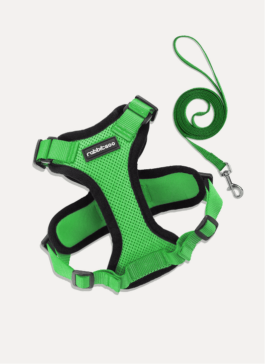 Rabbitgoo Adjustable Cat Harness and Leash Set